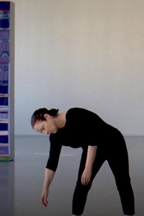 Five Dances and Nine Wall Carpets by Noa Eshkol 2011 official movie poster