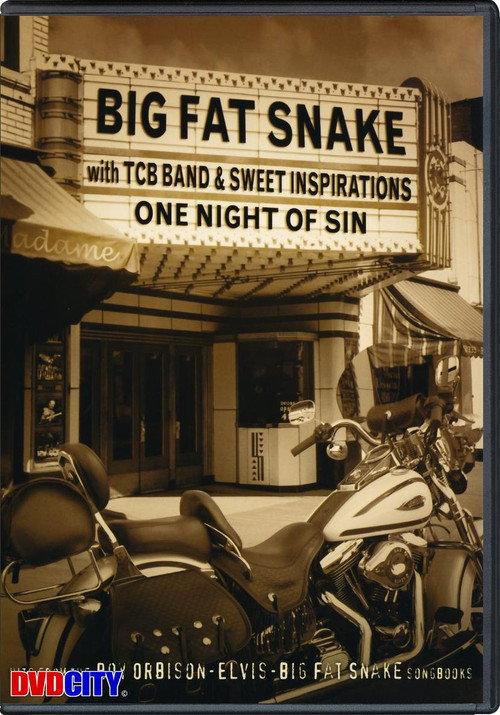 Big Fat Snake - One Night of Sin 2003 official movie poster