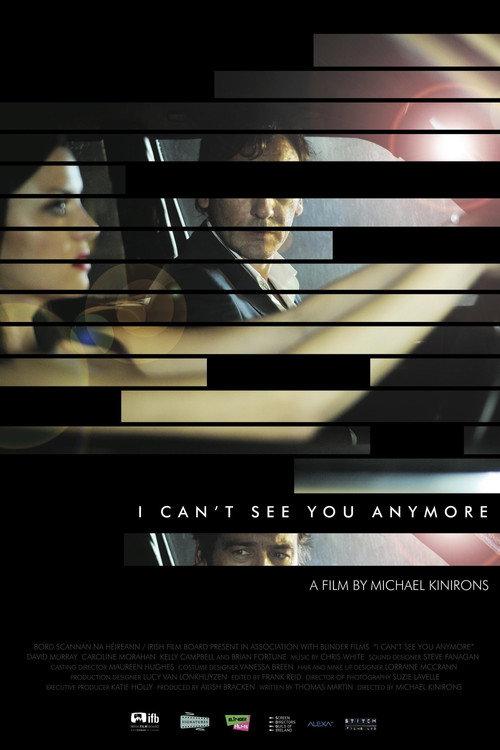 I Can't See You Anymore 2012 official movie poster