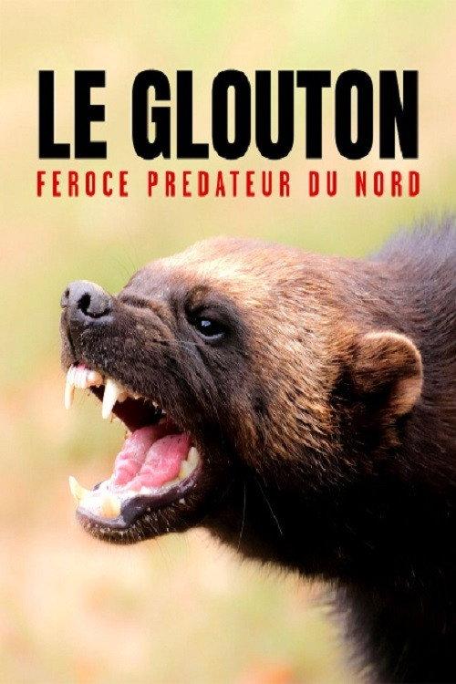 The Wolverine: Fierce Predator of the North 2021 official movie poster
