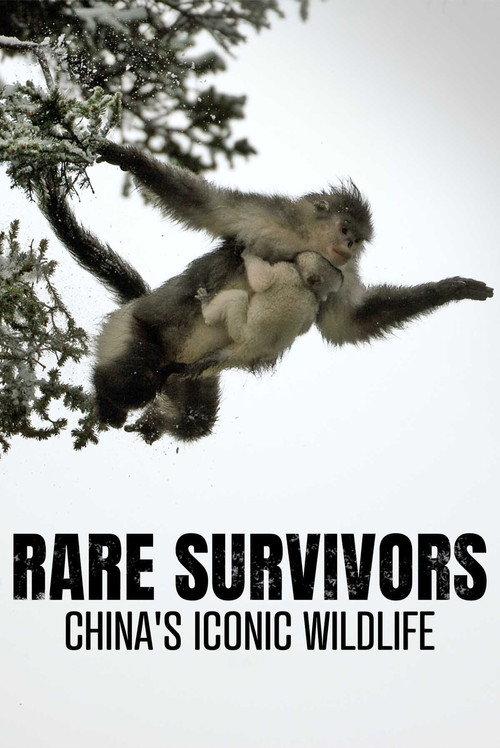 Rare Survivors: China's Iconic Wildlife 2021 official movie poster
