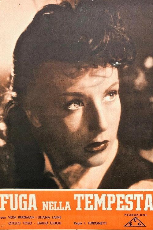 Fuga nella tempesta 1948 official movie poster