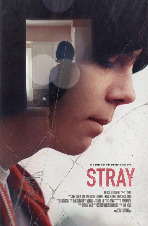 Stray 2017 official movie poster