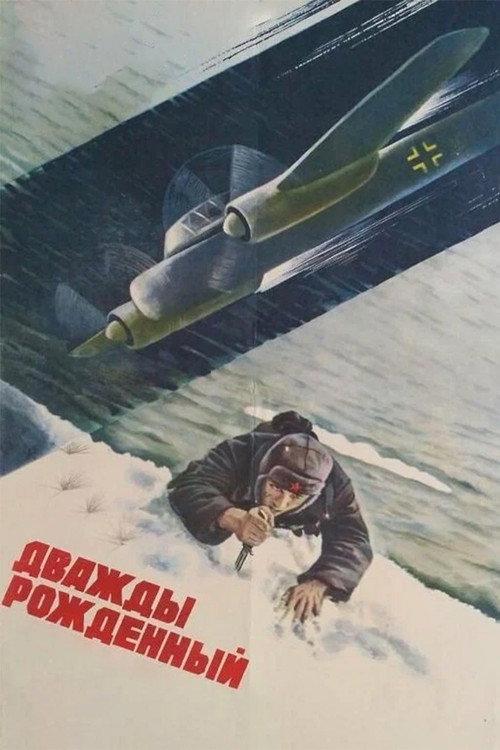 Twice Born 1984 official movie poster