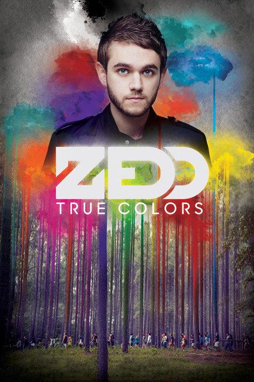 Zedd: True Colors 2016 official movie poster