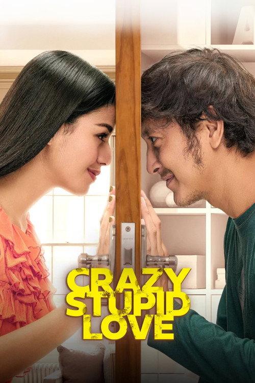 Crazy, Stupid, Love 2022 official movie poster