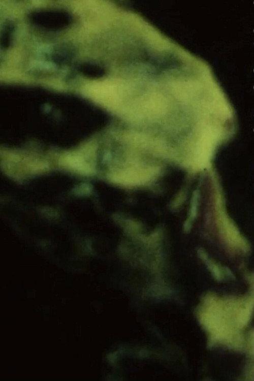 DIKTAT: Il Tempo Del Titano 1977 official movie poster