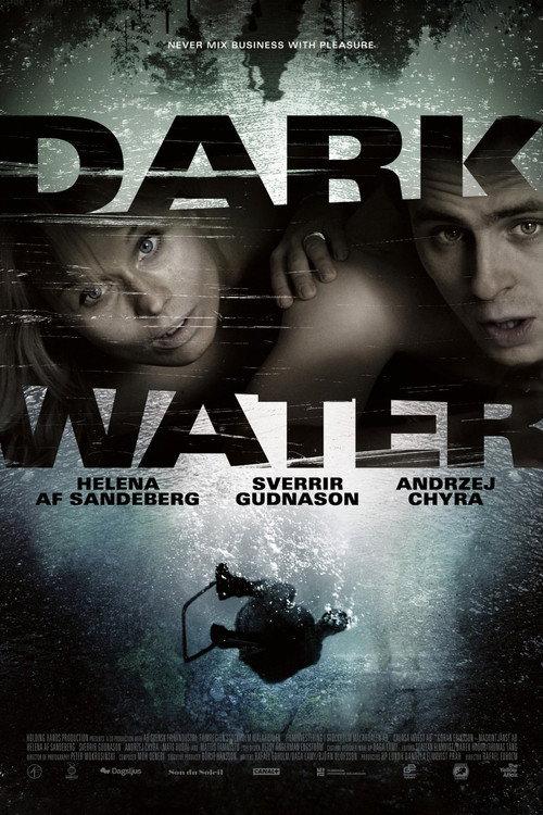 Dark Water 2012 official movie poster