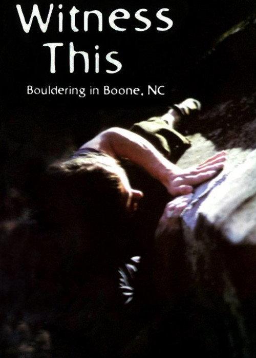 Witness This 2001 official movie poster