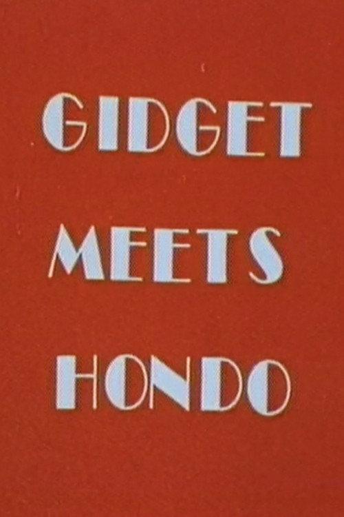 Gidget Meets Hondo 1980 official movie poster