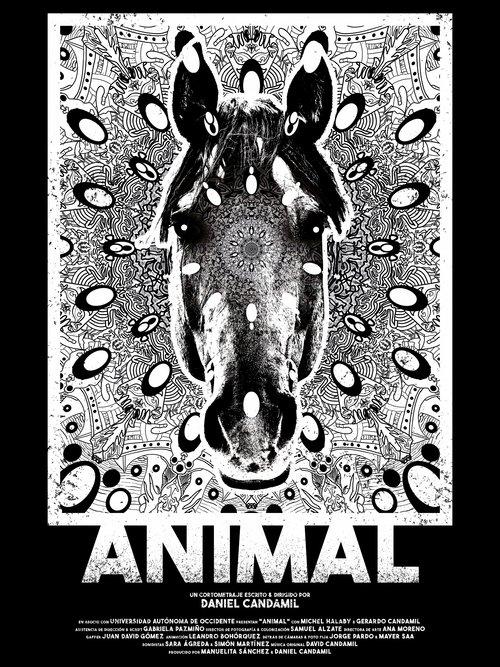Animal 2022 official movie poster