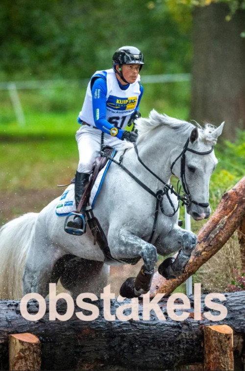 Obstacles 2017 official movie poster
