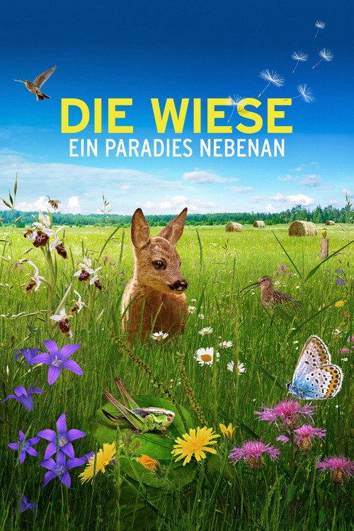Die Wiese: Ein Paradies nebenan 2019 official movie poster