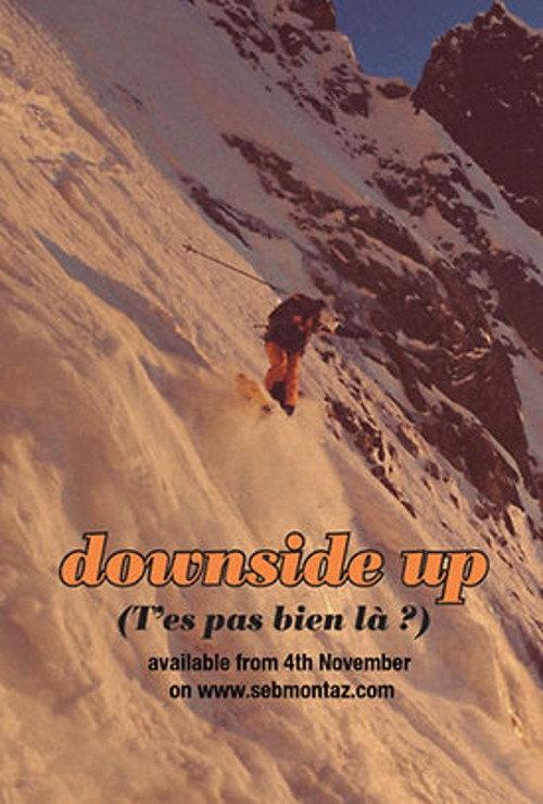 Downside Up 2013 official movie poster