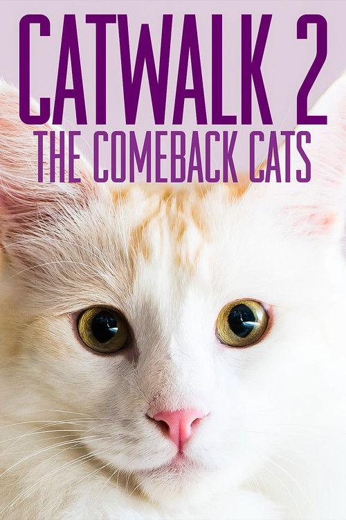 Catwalk 2: The Comeback Cats 2022 official movie poster