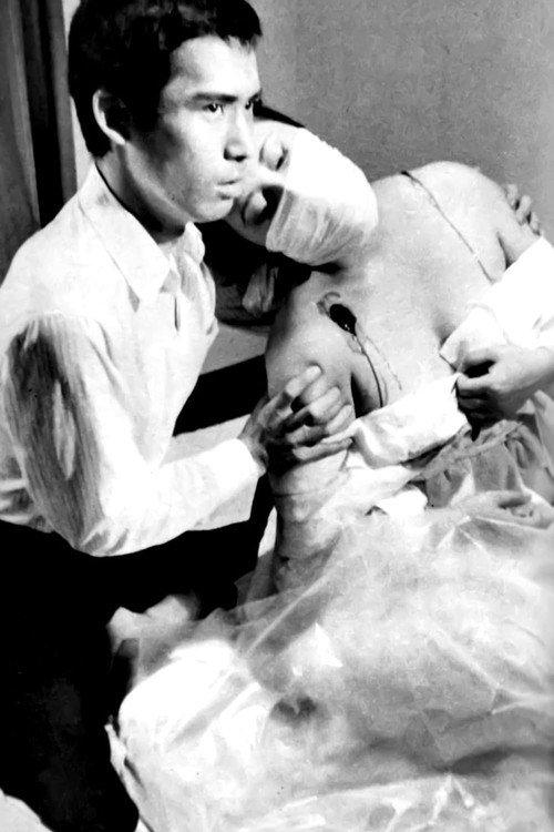Bed of Violent Desires 1967 official movie poster