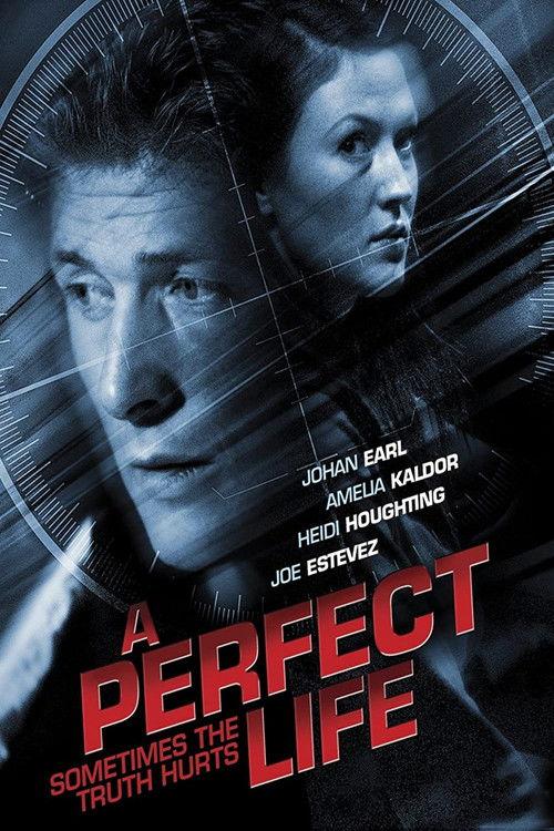 A Perfect Life 2011 official movie poster