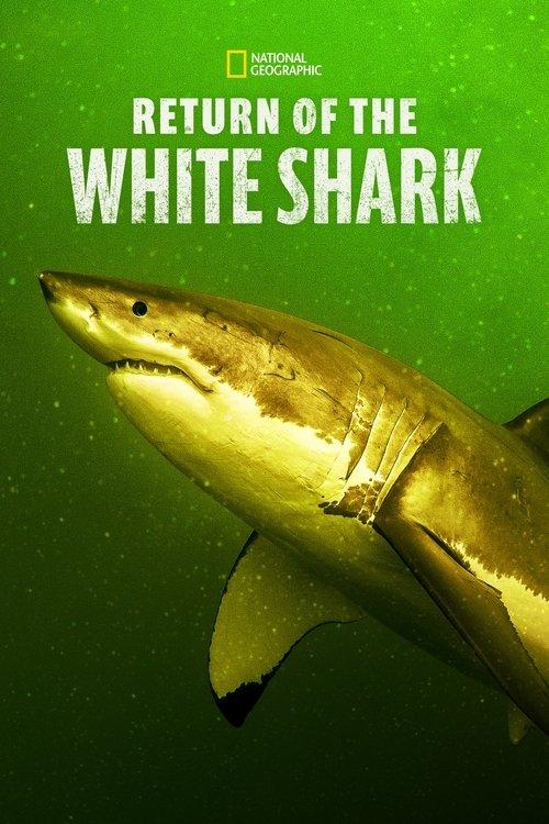Return of the White Shark 2023 official movie poster
