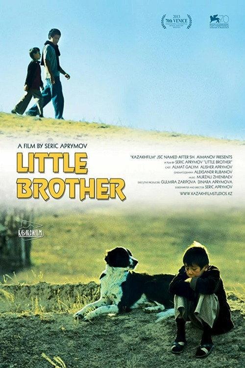 Little Brother 2013 official movie poster