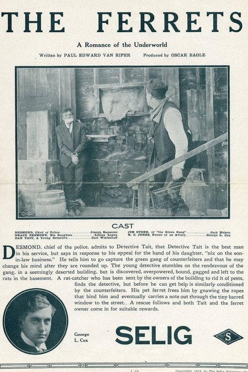 The Ferrets 1913 official movie poster