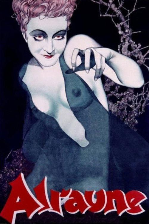 A Daughter Of Destiny 1928 official movie poster
