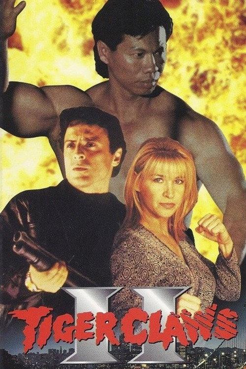 Tiger Claws II 1996 official movie poster
