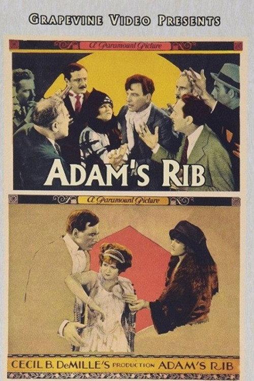 Adam's Rib 1923 official movie poster