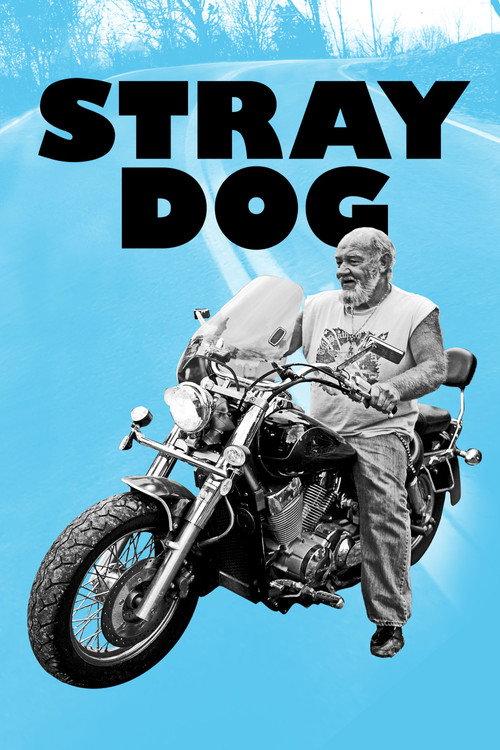 Stray Dog 2014 official movie poster