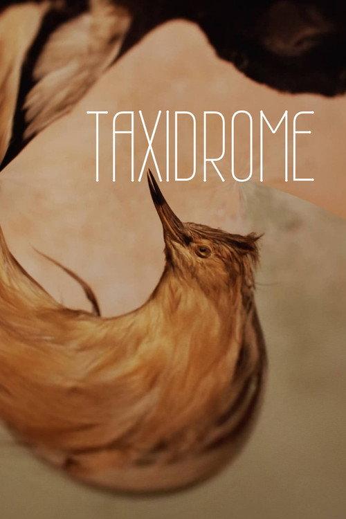 Taxidrome 2021 official movie poster