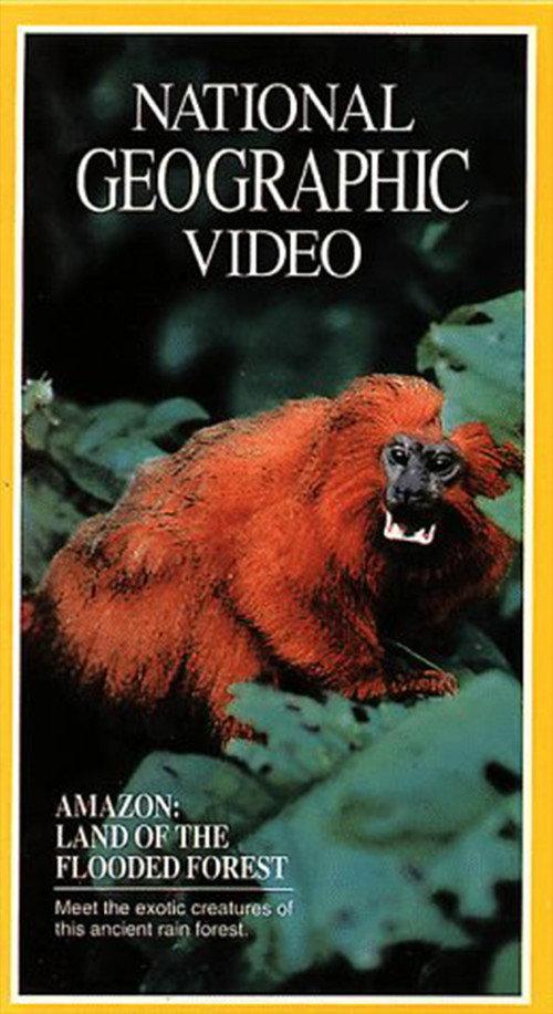 Amazon: Land of the Flooded Forest 1990 official movie poster