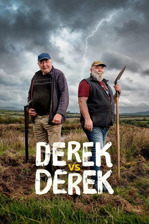 Derek vs Derek 2027 official movie poster