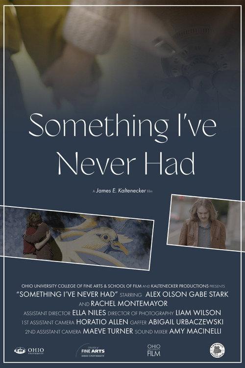 Something I've Never Had official movie poster