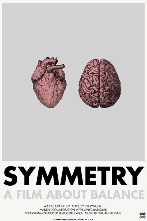 Symmetry 2011 official movie poster