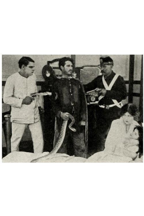 The Rattlesnake 1913 official movie poster