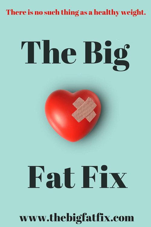 The Big Fat Fix 2016 official movie poster