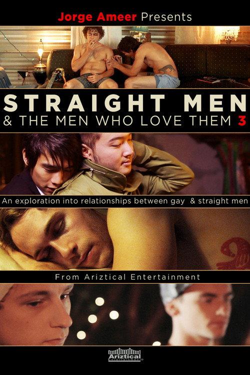 Straight Men & the Men Who Love Them 3 2014 official movie poster
