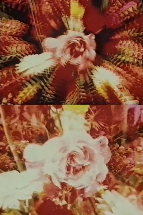 Contemplation of the Rose 1973 official movie poster