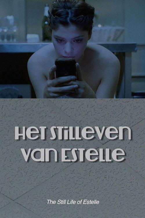 Het Stilleven van Estelle 2014 official movie poster