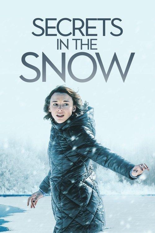 Secrets in the Snow 2020 official movie poster