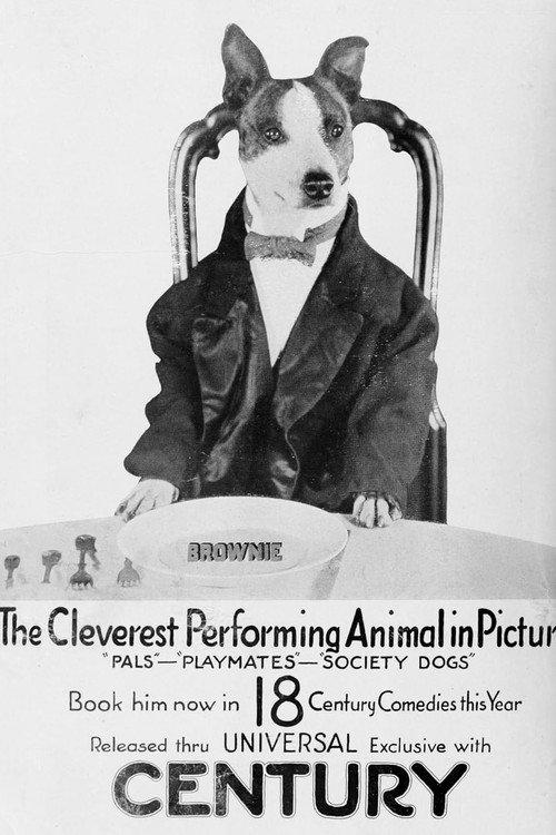 Society Dogs 1921 official movie poster