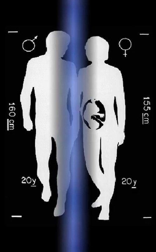 Zuse Strip 2003 official movie poster