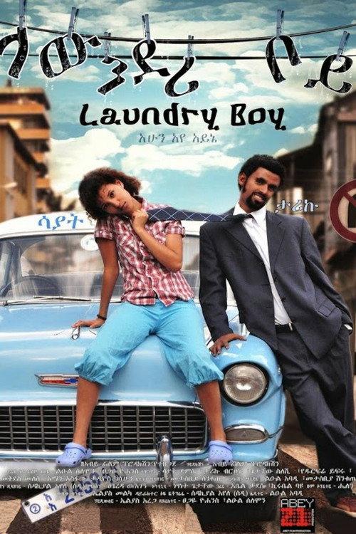 Laundry Boy 2010 official movie poster