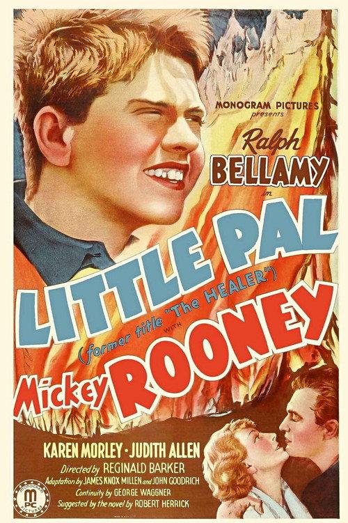 The Healer 1935 official movie poster