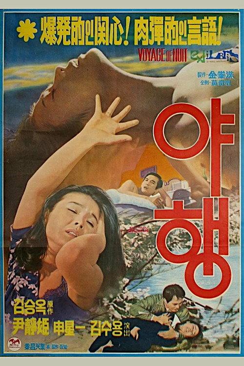Night Journey 1977 official movie poster