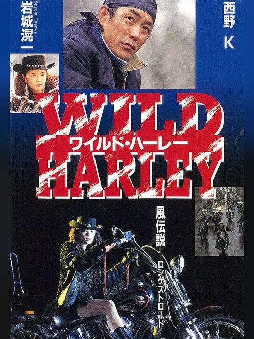 Wild Harley 1993 official movie poster
