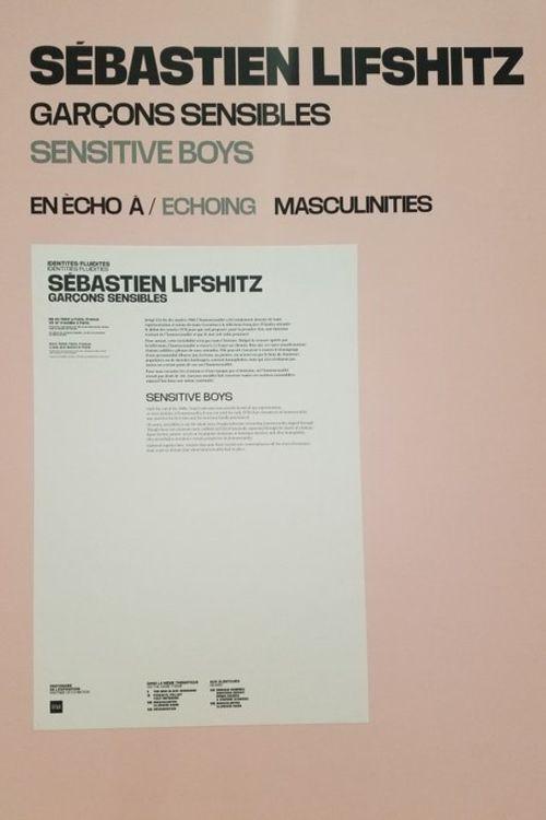 Sensitive Boys 2021 official movie poster
