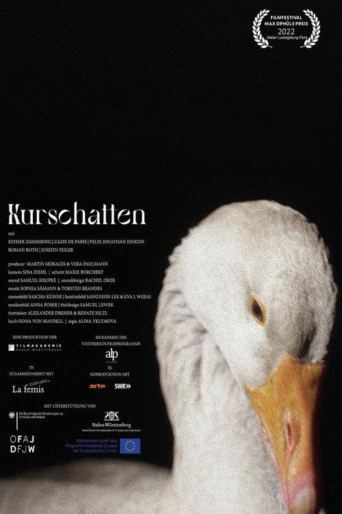 Kurschatten 2021 official movie poster