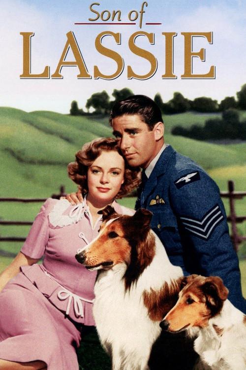 Son of Lassie 1945 official movie poster