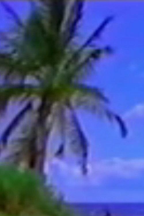 Vexation Island 1997 official movie poster