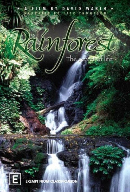 Rainforest: The Secret Of Life 2009 official movie poster